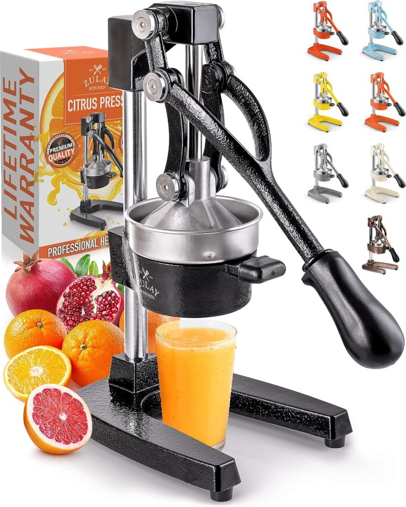 Juice Maker or Juicer Under $100 According to Experts and Reviews